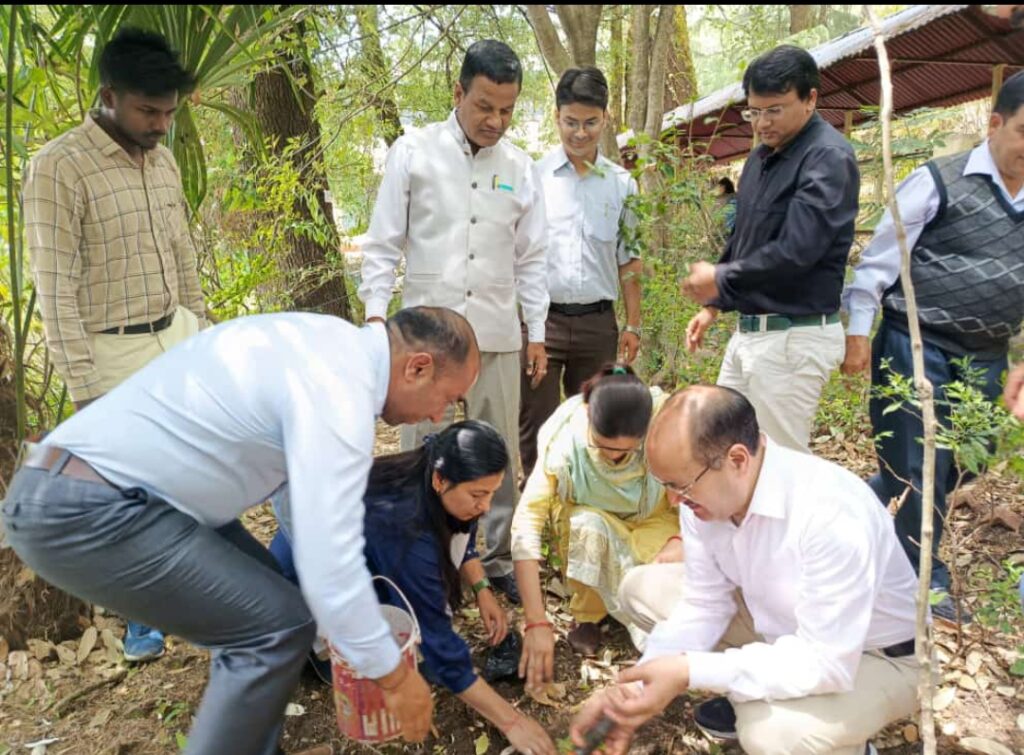 डीएसबी परिसर के वनस्पति विज्ञान विभाग में हुआ कार्यक्रम, लगाए पौधे, हुई ऑनलाइन संगोष्ठी