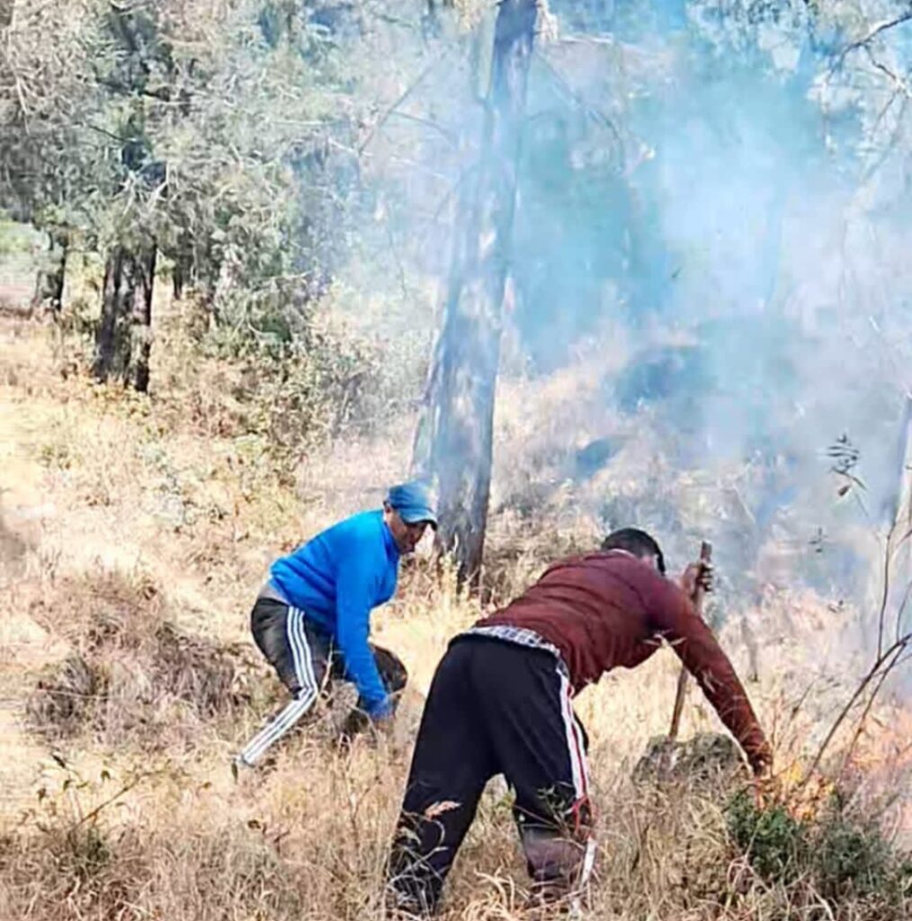 नारायण नगर पैदल मार्ग में लगी भीषण आग, क्षेत्र के लोगों ने वन विभाग की टीम के साथ बुझाई आग