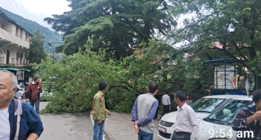 नैनीताल बीएम साह ओपन थिएटर के पास सड़क में गिरा पेड़,