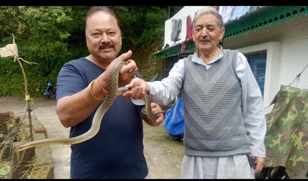 वैलव्यू कंपाउंड में वन विभाग की टीम ने पकड़ा सांप,सांप हाथ में पकड़कर पूर्व सभासद संजय साह ने पुचकार किया प्यार और दुलार साथ में बोले बम बम भोले,