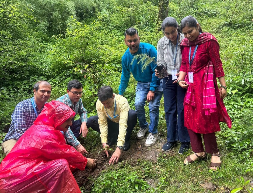 अल्मोड़ा अर्बन बैंक ने क्षेत्र के सभासद मनोज साह जगाती को साथ लेकर आयरपाटा क्षेत्र में रोपे पौधे