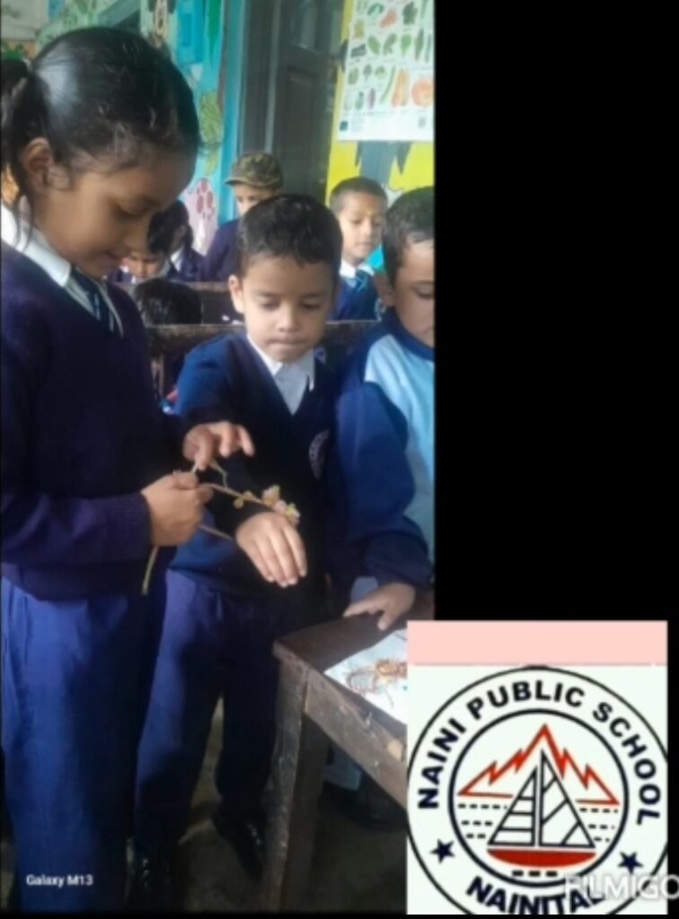 नैनी पब्लिक स्कूल में रक्षाबंधन पर्व पर बच्चों ने बनाए सुंदर ग्रीटिंग और बालिकाओं ने अपने सहपाठियों को बांधी राखी,